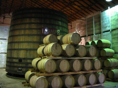 Lagarde vineyard - since 1897
